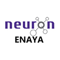 NEURON-ENAYA